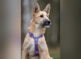 Freundlicher Fred sucht seine Familie