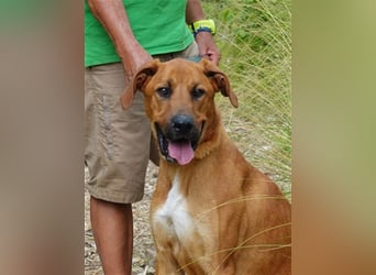 Rio (m)- sozial, aktivRio (m)- sozial, aktiv