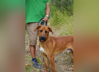 Rio (m)- sozial, aktivRio (m)- sozial, aktiv