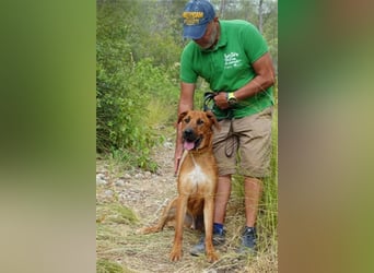 Rio (m)- sozial, aktivRio (m)- sozial, aktiv