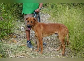 Rio (m)- sozial, aktivRio (m)- sozial, aktiv