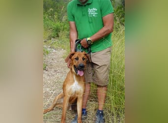 Rio (m)- sozial, aktivRio (m)- sozial, aktiv