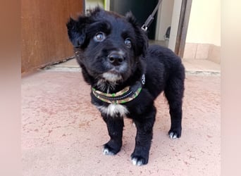 Blu - mutterseelenallein gefunden