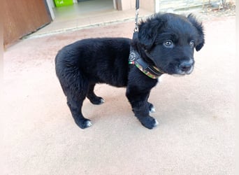 Blu - mutterseelenallein gefunden