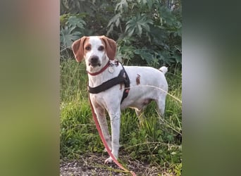 Cooper: „SOS - wohin soll ich denn sonst?“