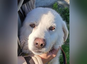 Samantha – Zuckerschnute