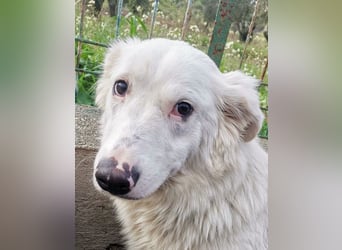 Pia: „Bitte nicht wieder wegschicken!“