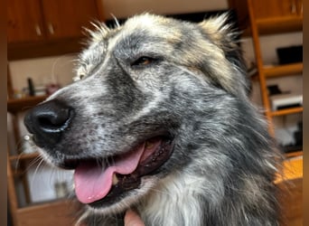 Marlon: „Würden Sie sich meiner annehmen?“