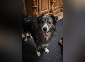 Marlon: „Würden Sie sich meiner annehmen?“