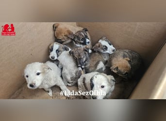 Django - auf ins neue Leben!