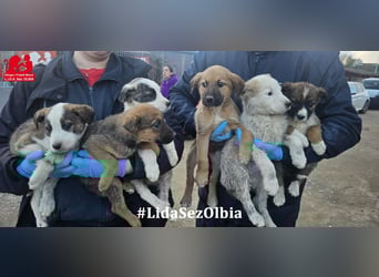 Django - auf ins neue Leben!