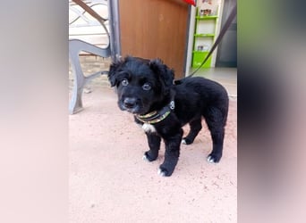 Blu - mutterseelenallein gefunden