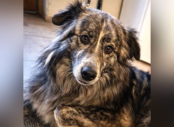 Marlon: „Würden Sie sich meiner annehmen?“