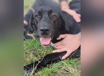 Tea – alles für meine Menschen