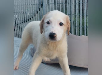 Django - auf ins neue Leben!