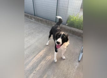‚Bella e ..possibile‘