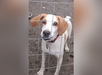 Cooper: „SOS - wohin soll ich denn sonst?“