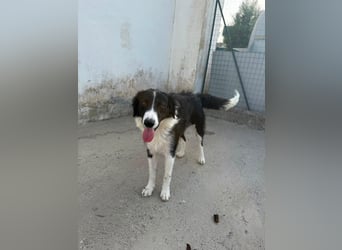 ‚Bella e ..possibile‘