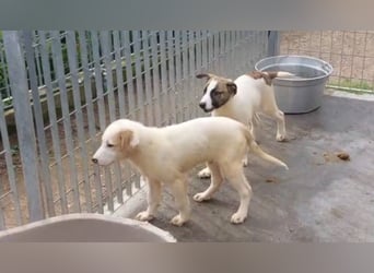 Django - auf ins neue Leben!