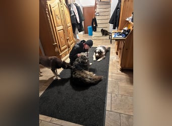 Marlon: „Würden Sie sich meiner annehmen?“