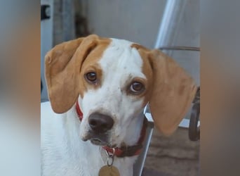 Cooper: „SOS - wohin soll ich denn sonst?“