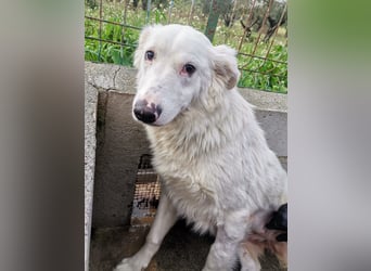 Pia: „Bitte nicht wieder wegschicken!“