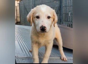 Django - auf ins neue Leben!