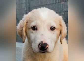 Django - auf ins neue Leben!