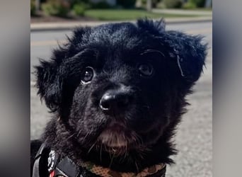 Blu - mutterseelenallein gefunden