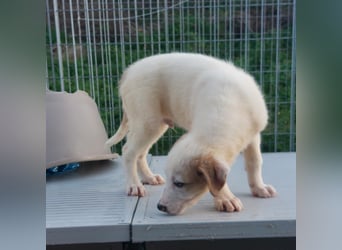 Django - auf ins neue Leben!