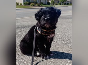 Blu - mutterseelenallein gefunden