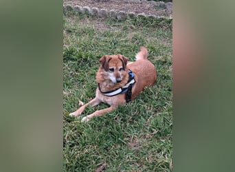 ZIVA: Aus dem Paradies in den Tod!?!?