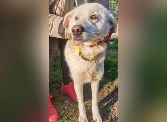 Samantha – Zuckerschnute