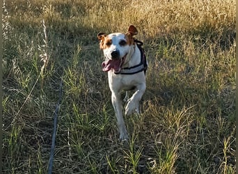 Cooper: „SOS - wohin soll ich denn sonst?“