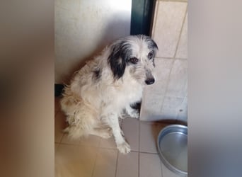 Betty –  liebevolles Geleit ins Leben gesucht