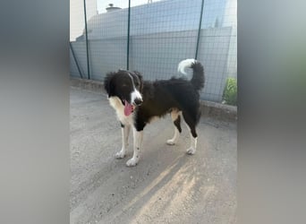 ‚Bella e ..possibile‘