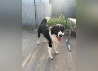 ‚Bella e ..possibile‘