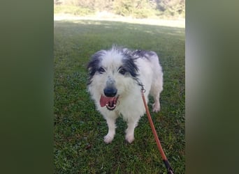 Betty –  liebevolles Geleit ins Leben gesucht