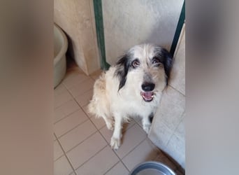 Betty –  liebevolles Geleit ins Leben gesucht