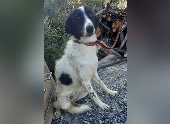 Claudia – Über die Alpen……….