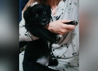 Blu - mutterseelenallein gefunden