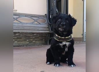 Blu - mutterseelenallein gefunden