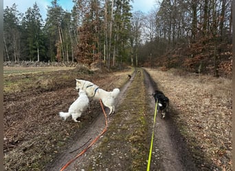 Marlon: „Würden Sie sich meiner annehmen?“