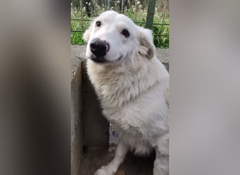 Pia: „Bitte nicht wieder wegschicken!“