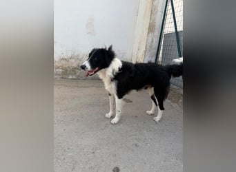 ‚Bella e ..possibile‘