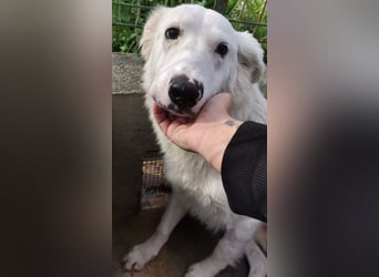 Pia: „Bitte nicht wieder wegschicken!“