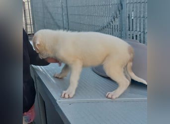 Django - auf ins neue Leben!