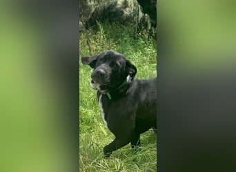 Tea – alles für meine Menschen