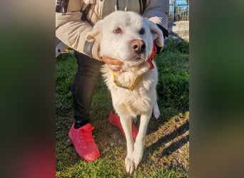 Samantha – Zuckerschnute