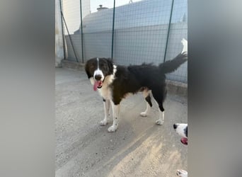 ‚Bella e ..possibile‘